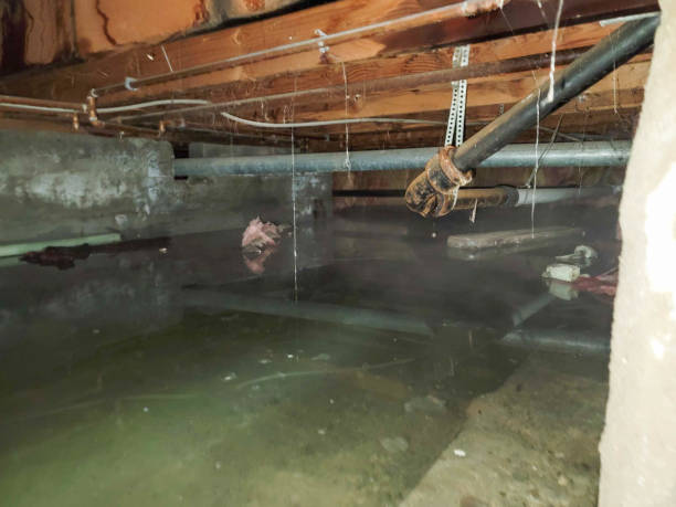 Best Professional water damage repair  in Kerhonkson, NY