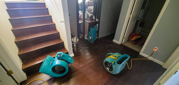 Best Water damage restoration near me  in Kerhonkson, NY