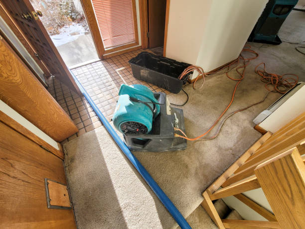 Best 24-hour water damage restoration  in Kerhonkson, NY