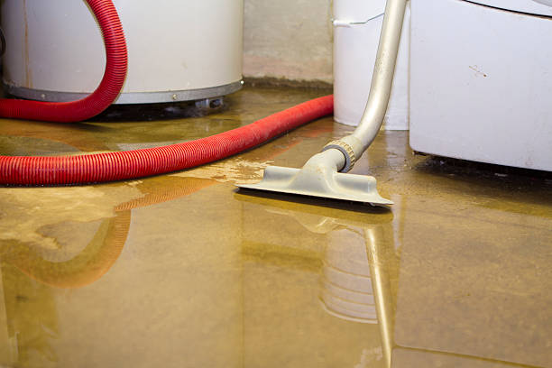 Best Basement water damage restoration  in Kerhonkson, NY