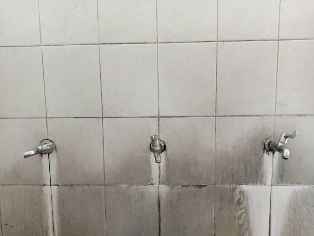 Best Carpet water damage restoration  in Kerhonkson, NY