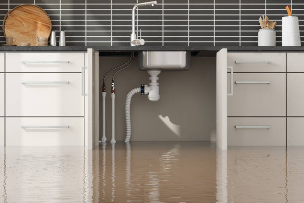 Best Water damage contractors near me  in Kerhonkson, NY