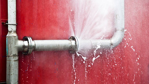 Best Flooded house restoration  in Kerhonkson, NY